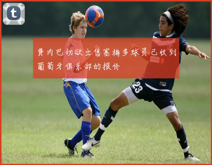 费内巴切欲出售塞梅多球员已收到葡萄牙俱乐部的报价