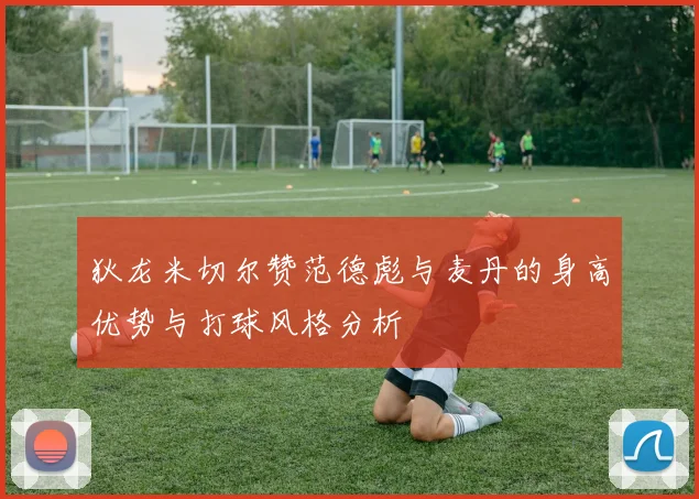 狄龙米切尔赞范德彪与麦丹的身高优势与打球风格分析